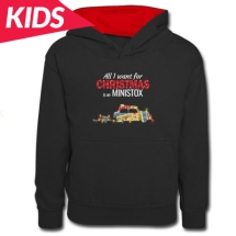 all-want-for-christmas-ministox-stock-car-hoodie-kids